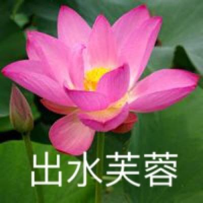 真红之刃九游免费版下载